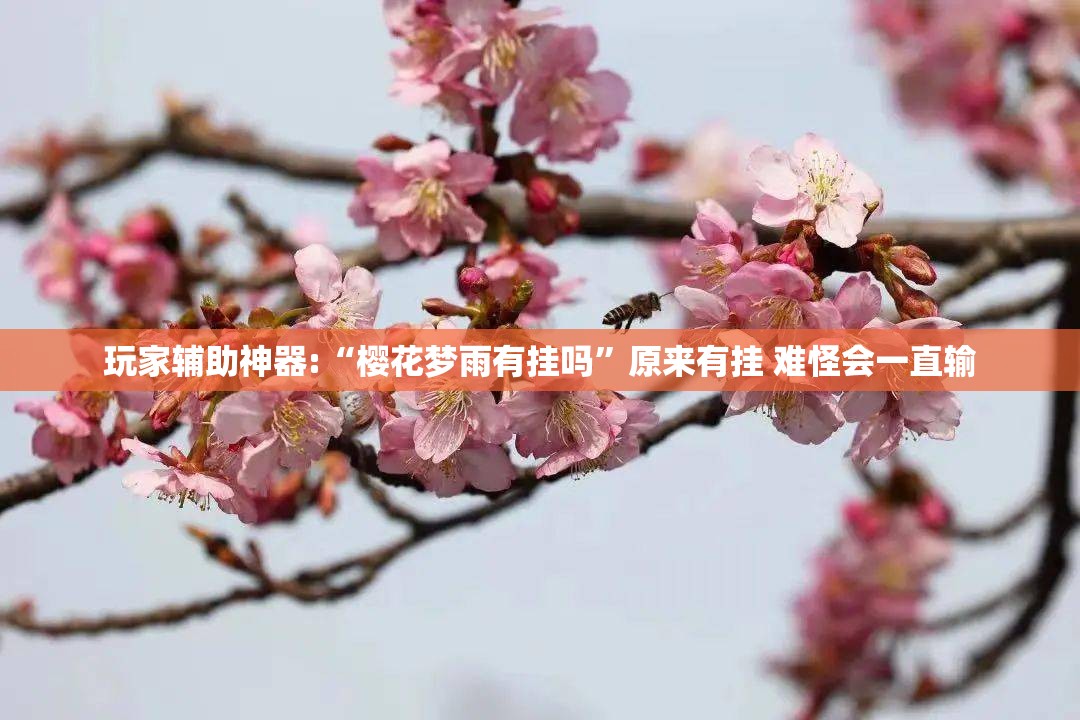 【2012款朗逸内饰/旧款朗逸内饰】
