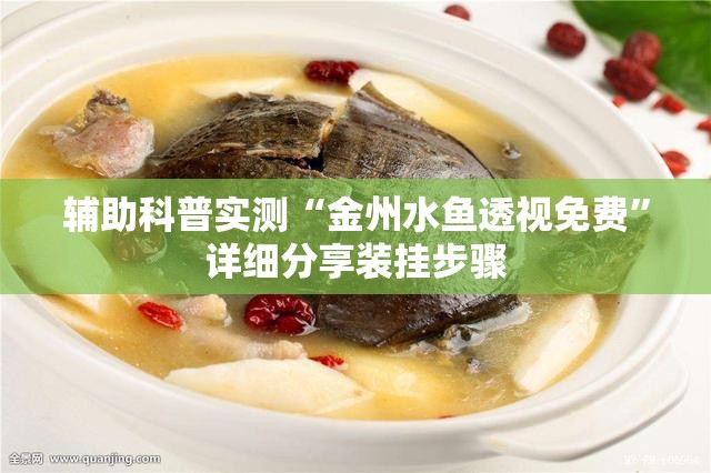 ford皮卡是什么车_1