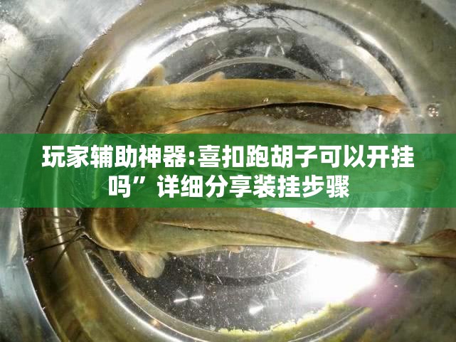 玩家辅助神器:欢乐众娱有挂吗”辅助透视教程