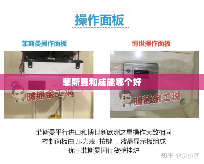 菲斯曼和威能哪个好