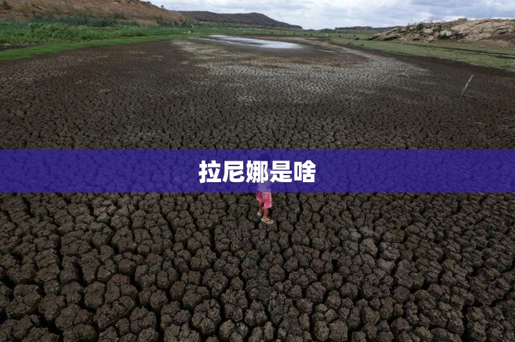 玩家辅助神器:天天卡五星2有挂吗!最新火爆必备系统