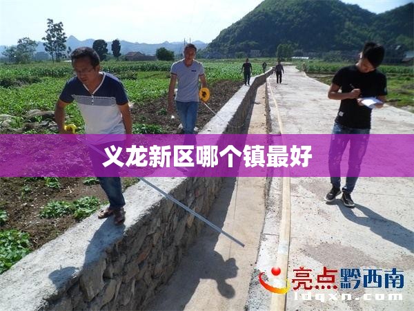 义龙新区哪个镇最好