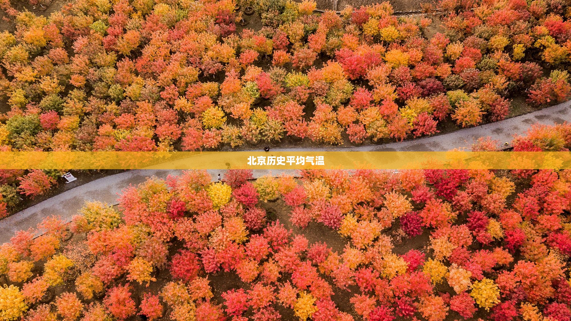 万能开挂辅助“闲游麻将怎么开挂”开挂辅助透视教程