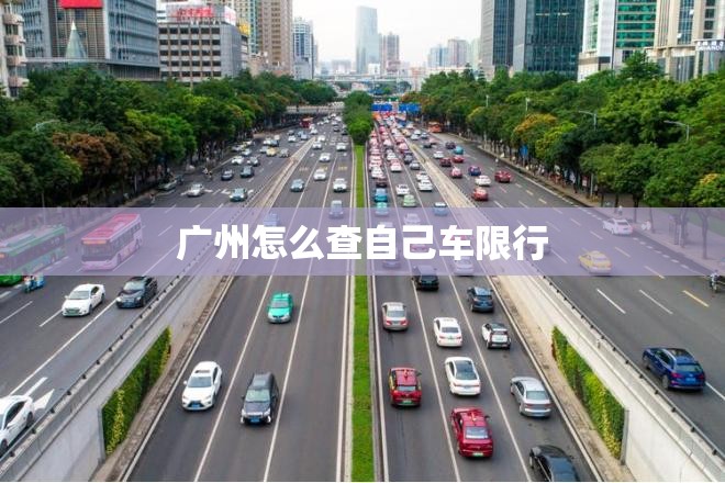 烟店轴承网的网站发展