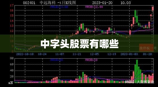 玩家辅助神器:“金宝联盟有挂吗”开挂辅助透视教程