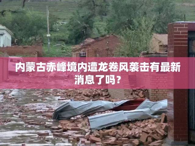玩家辅助神器:“广西八一字牌有挂吗”详细辅助教程分享