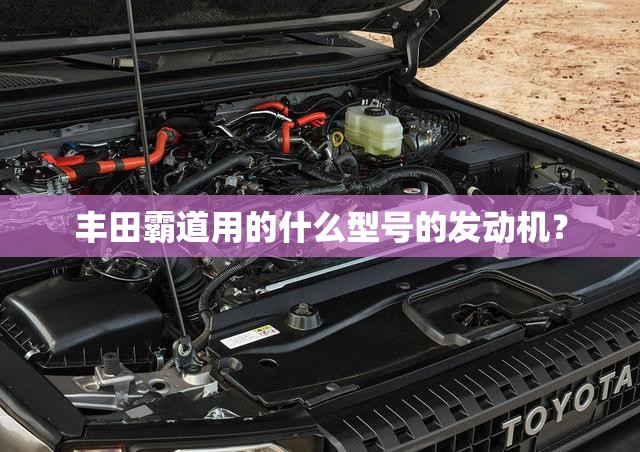 玩家必备攻略!兄弟十三水app能装挂吗!最新火爆必备系统