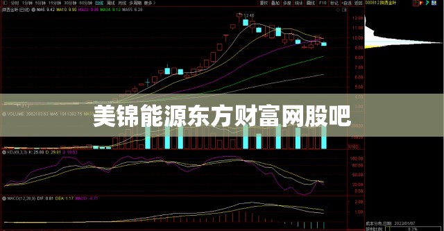 美锦能源东方财富网股吧