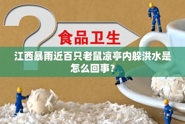 辅助教程分享“蜀友汇可以开挂吗”最新辅助详细教程
