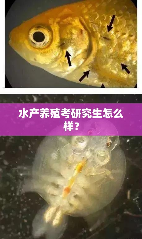 水产养殖考研究生怎么样？