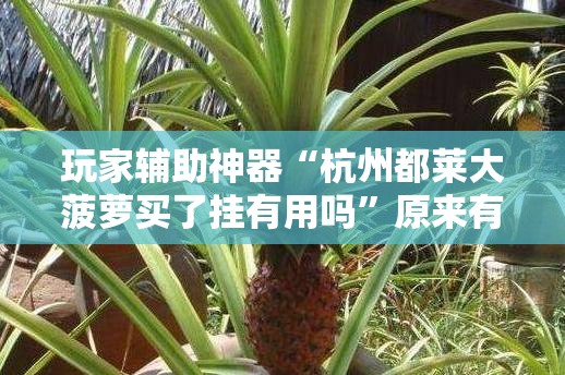安装程序教程“聚友互娱平台有挂吗”透视开挂辅助教程