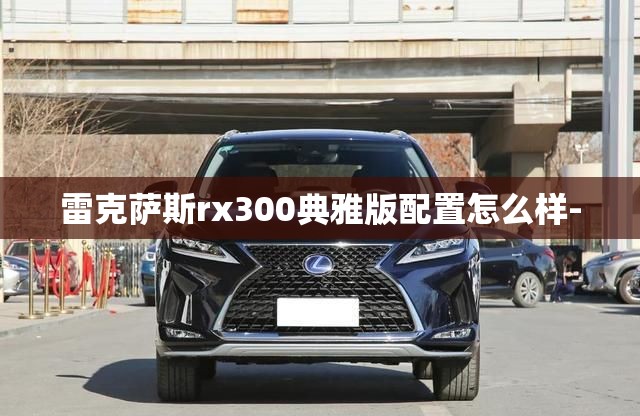 雷克萨斯rx300典雅版配置怎么样-