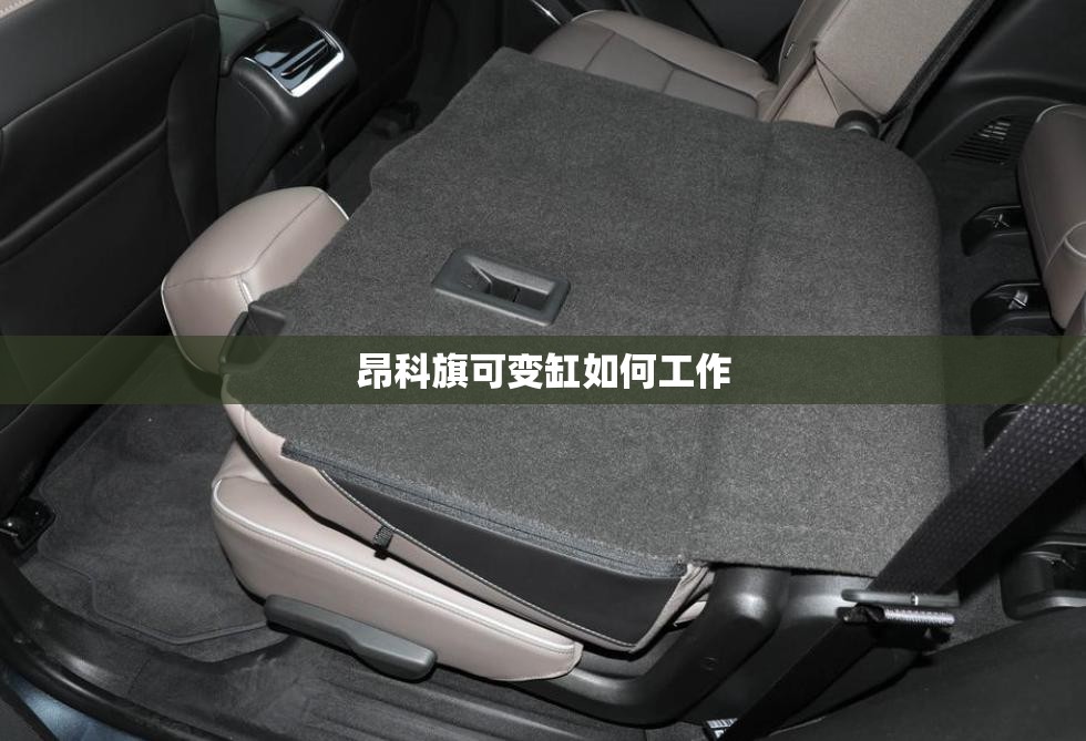 实测分享“白金岛跑胡子可以开挂吗”透视开挂辅助教程