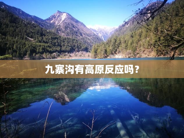 10.2立方大容积 256公里长续航 这款纯电动物流车还有这些亮点