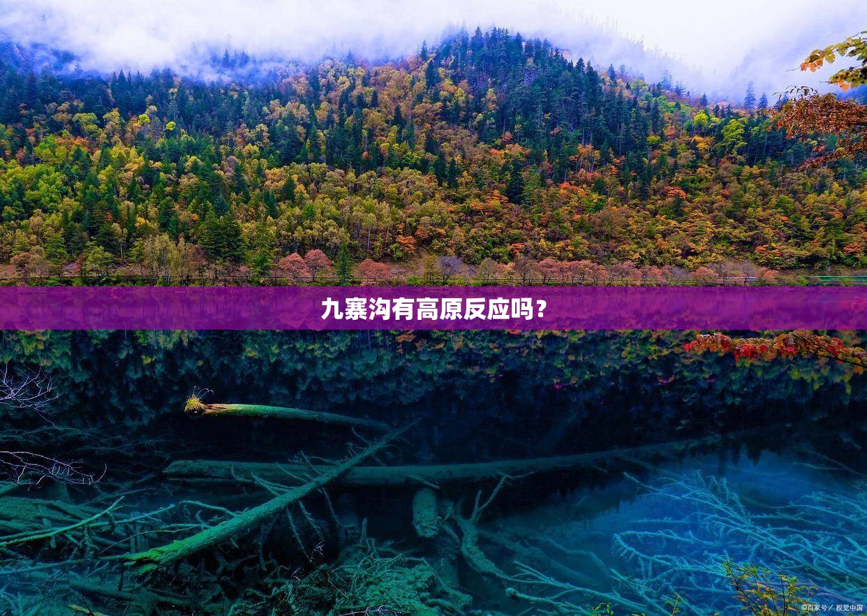 九寨沟有高原反应吗？