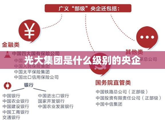 光大集团是什么级别的央企