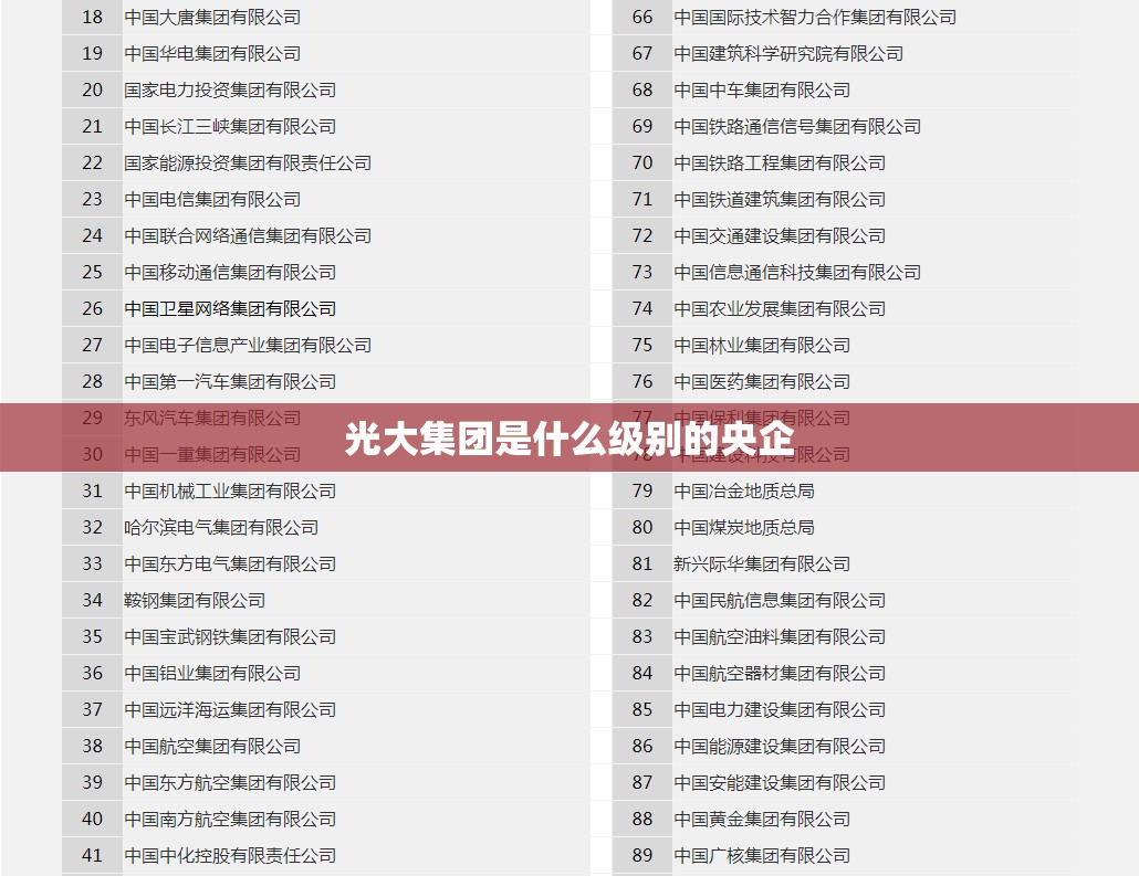 光大集团是什么级别的央企