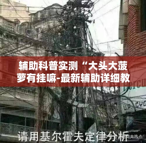 辅助科普实测“大头大菠萝有挂嘛-最新辅助详细教程
