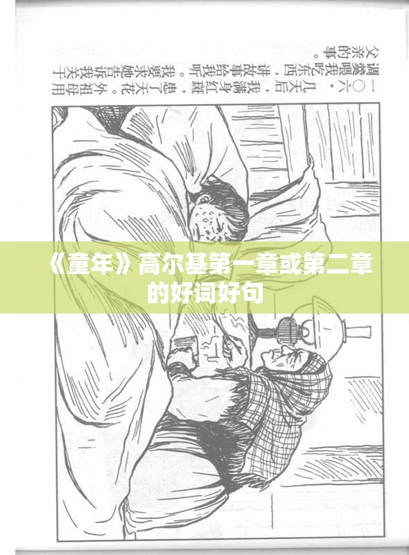 《童年》高尔基第一章或第二章的好词好句