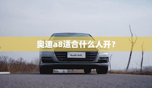 奥迪a8适合什么人开？