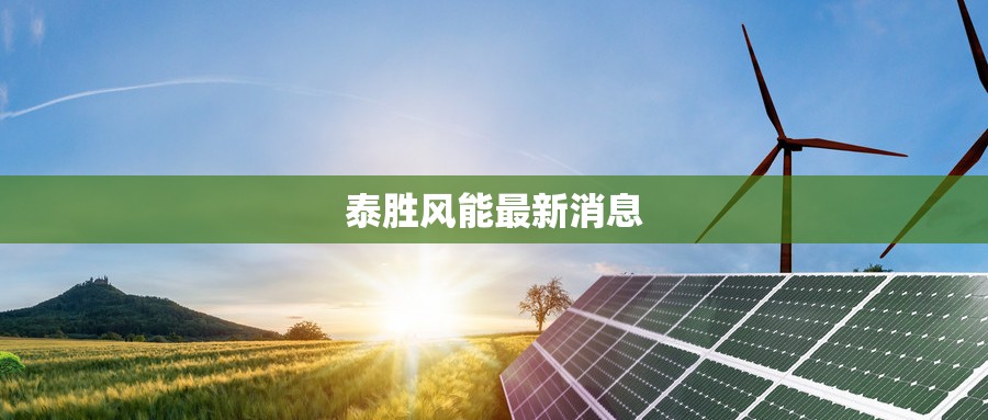 新能源汽车品牌排名（新能源汽车那个品牌性价比比较高）
