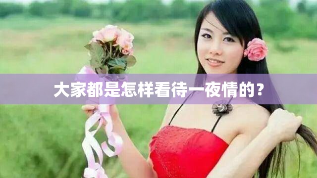 大家都是怎样看待一夜情的？
