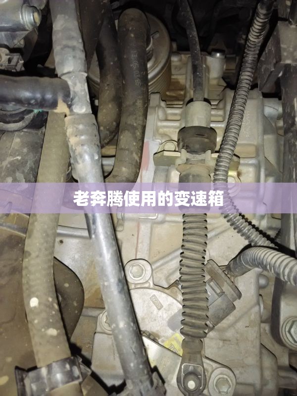 玩家必备攻略!家乡亲友有挂吗!辅助神器插件下载