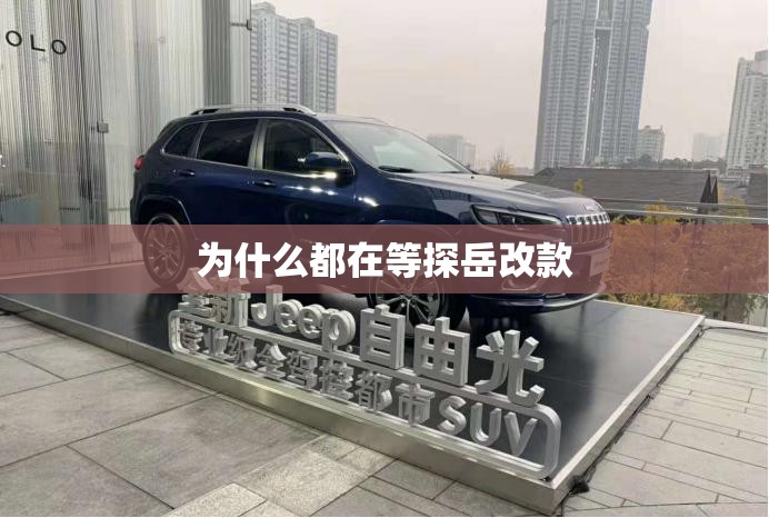 为什么都在等探岳改款