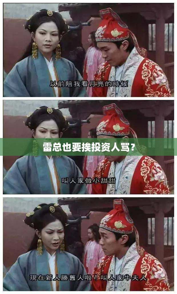 雷总也要挨投资人骂？