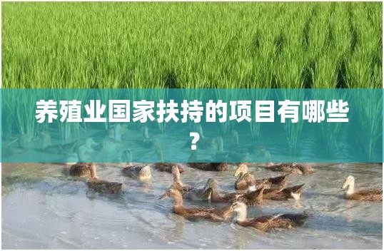 养殖业国家扶持的项目有哪些？
