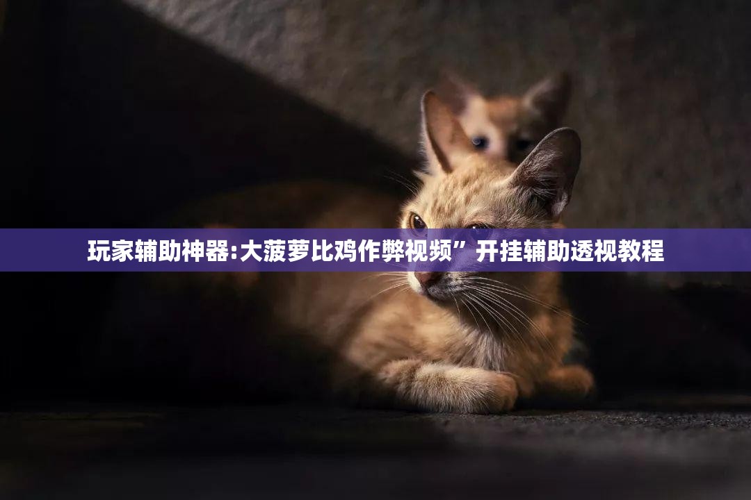 玩家辅助神器:大菠萝比鸡作弊视频”开挂辅助透视教程