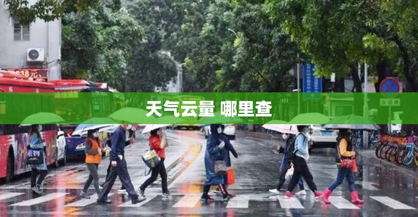 【大众迈腾b7报价及图片/大众迈腾b7l】