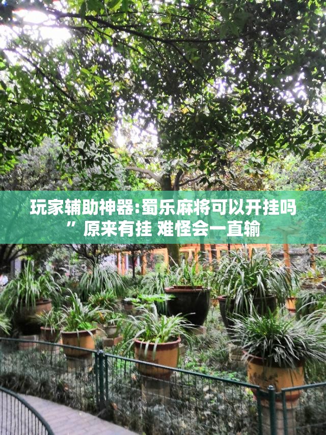 玩家辅助神器:蜀乐麻将可以开挂吗	”原来有挂 难怪会一直输