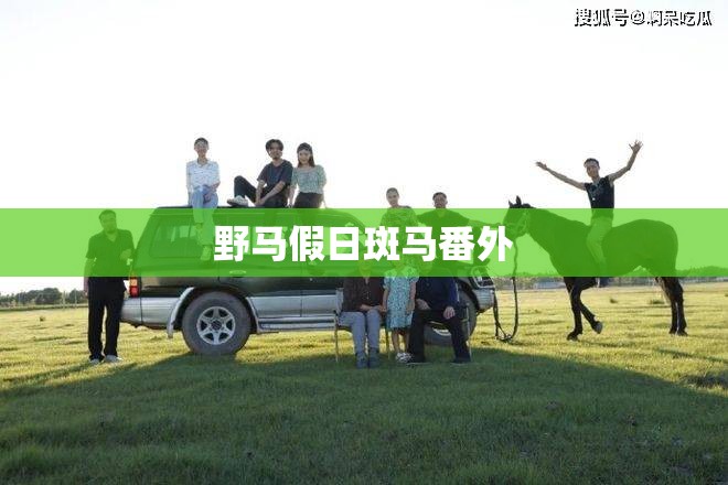 玩家辅助神器“新玉海楼茶苑可以开挂吗”详细辅助教程分享