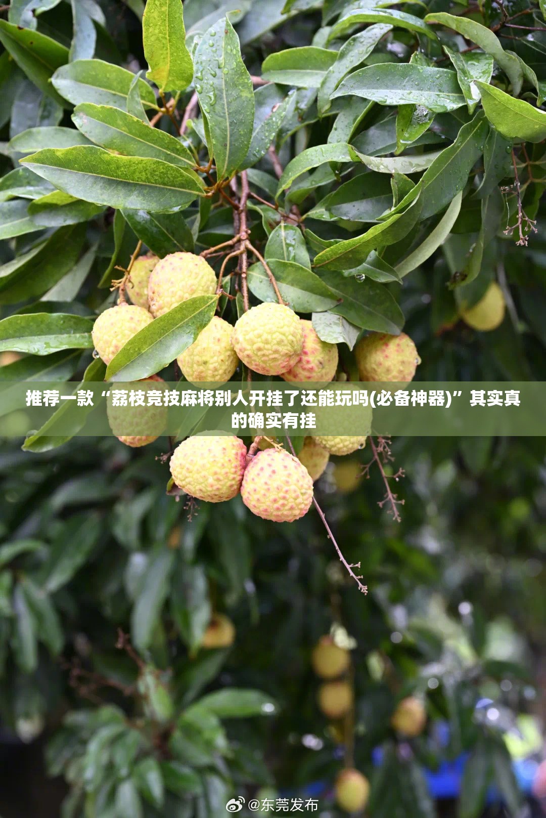 轻钢别墅住进去后悔了