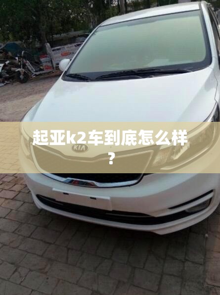 推荐一款“荔枝竞技麻将别人开挂了还能玩吗(必备神器)”其实真的确实有挂
