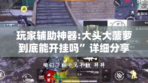 玩家辅助神器:大头大菠萝到底能开挂吗	”详细分享装挂步骤