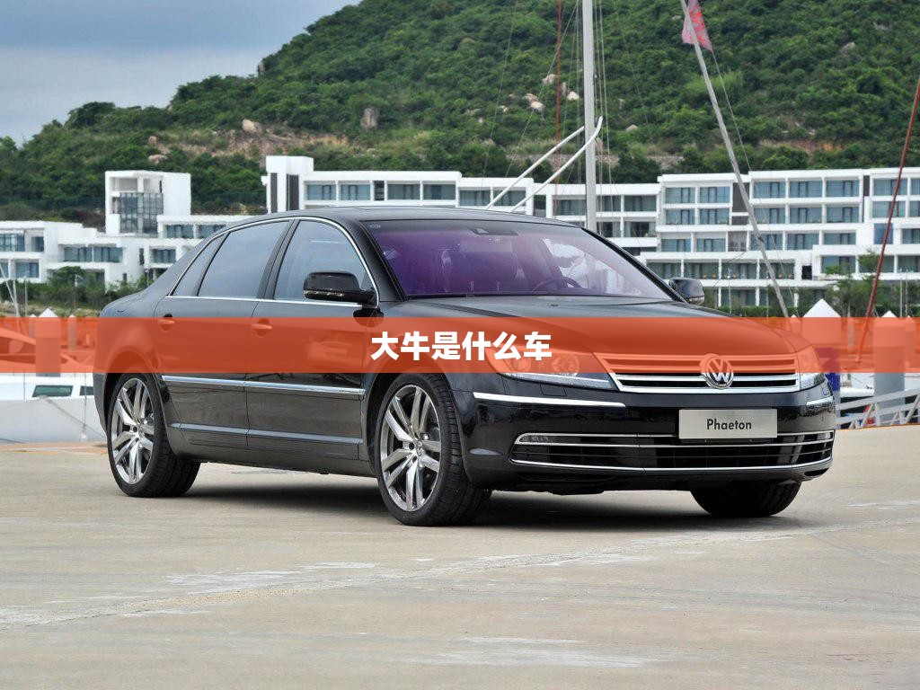 大牛是什么车
