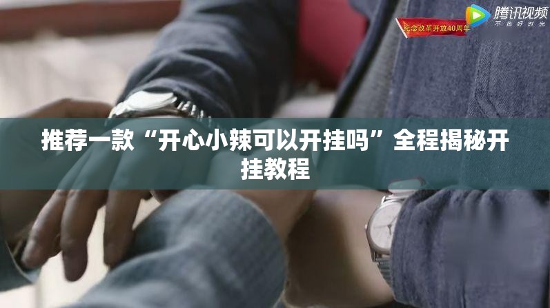 科普一下天天微友有挂吗”详细辅助软件教程