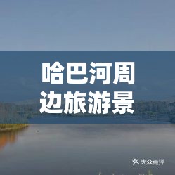 科普一下天天微友有挂吗”详细辅助软件教程