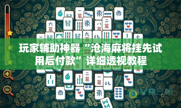 玩家辅助神器“沧海麻将挂先试用后付款”详细透视教程