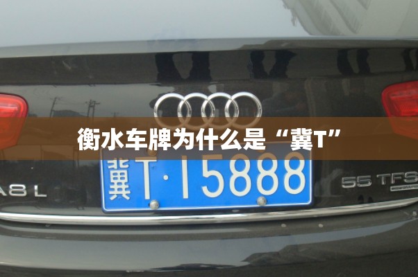 衡水车牌为什么是“冀T	”