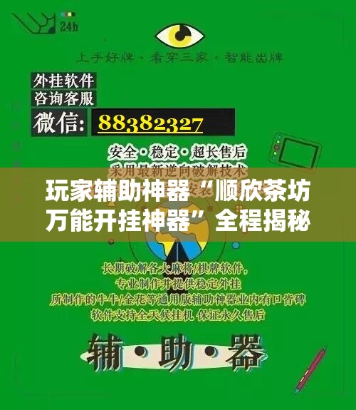 玩家辅助神器:风风跑胡子辅助”通用版下载教程