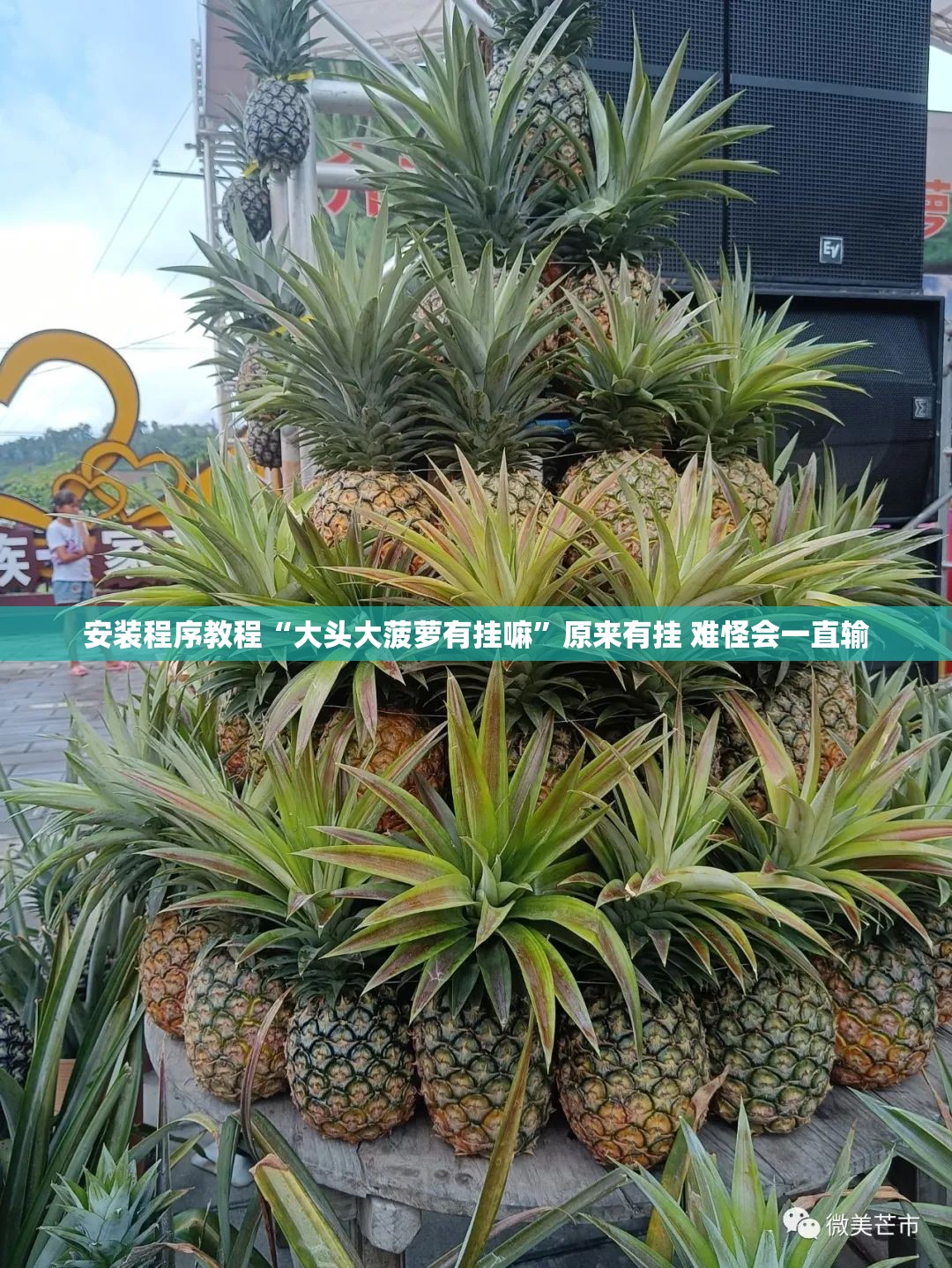 安装程序教程“大头大菠萝有挂嘛	”原来有挂 难怪会一直输