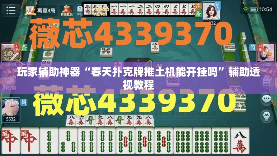 玩家辅助神器“春天扑克牌推土机能开挂吗”辅助透视教程