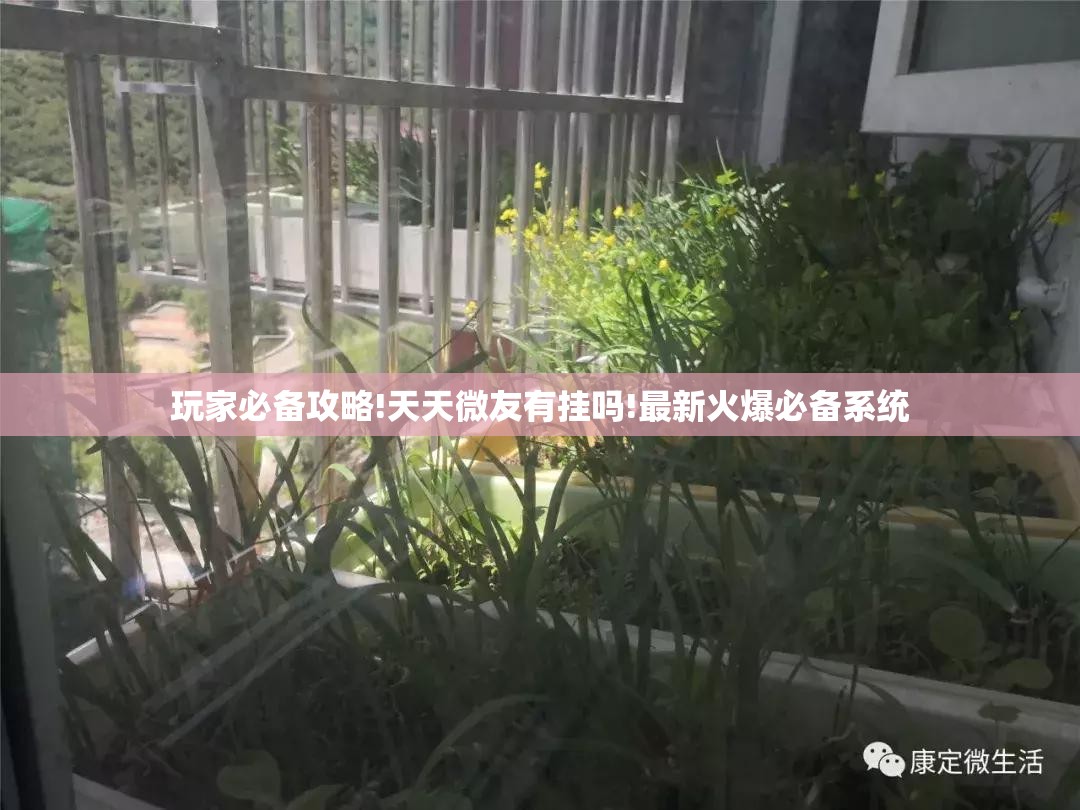 玩家必备攻略!天天微友有挂吗!最新火爆必备系统