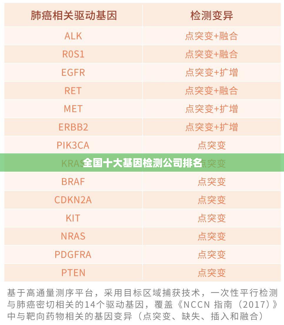 全国十大基因检测公司排名
