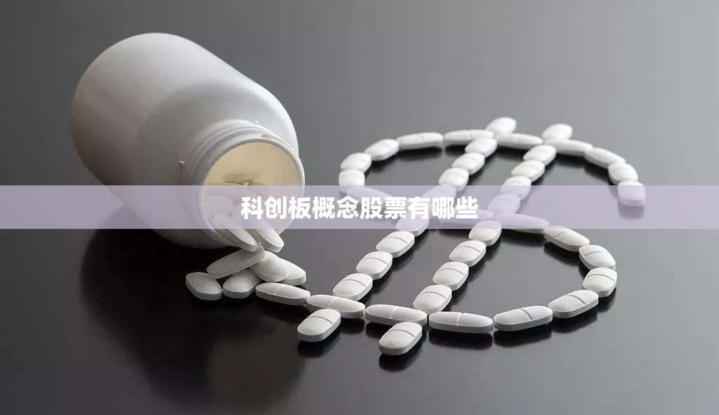 科创板概念股票有哪些