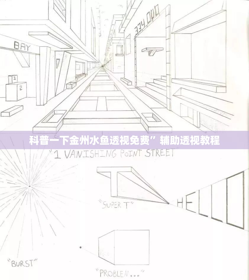 科普一下金州水鱼透视免费”辅助透视教程