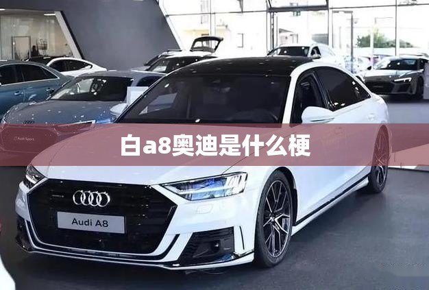 白a8奥迪是什么梗